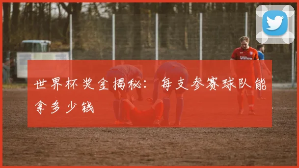 世界杯奖金揭秘：每支参赛球队能拿多少钱