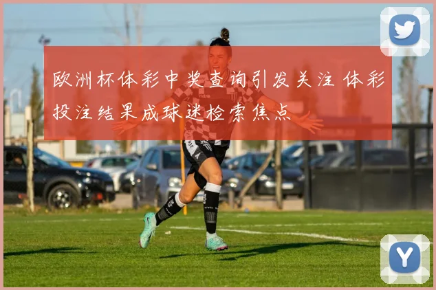 欧洲杯体彩中奖查询引发关注 体彩投注结果成球迷检索焦点