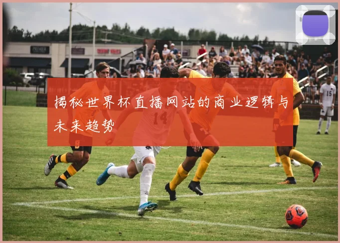 揭秘世界杯直播网站的商业逻辑与未来趋势