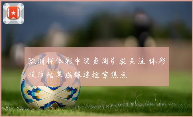 欧洲杯体彩中奖查询引发关注 体彩投注结果成球迷检索焦点