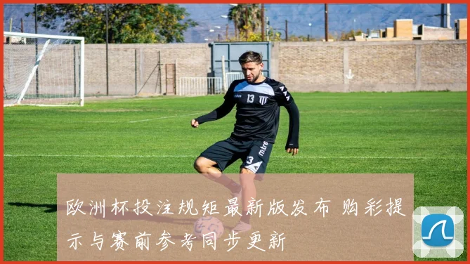 欧洲杯投注规矩最新版发布 购彩提示与赛前参考同步更新
