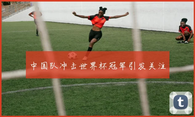中国队冲击世界杯冠军引发关注