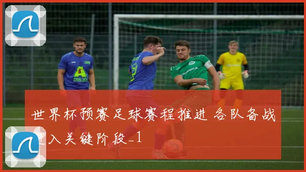 世界杯预赛足球赛程推进 各队备战进入关键阶段_1