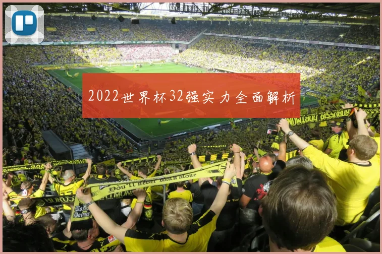 2022世界杯32强实力全面解析