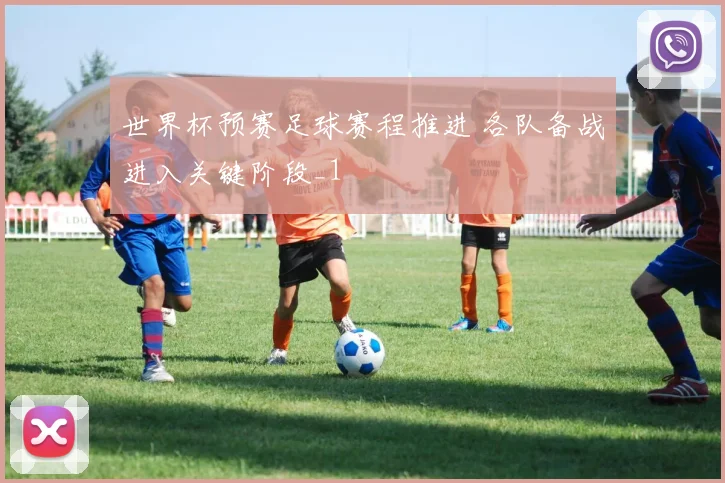 世界杯预赛足球赛程推进 各队备战进入关键阶段_1